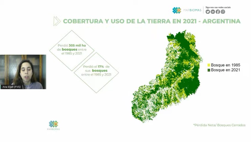 Un informe revela que Argentina perdió casi el 20 del Bosque Atlántico